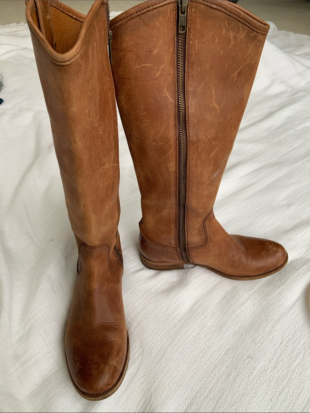 Frye Women's Tall Leather Zip Riding Boots - Brown